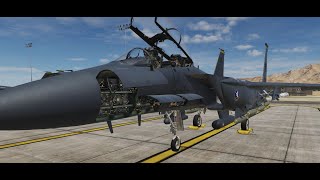 DCS F15-E  - Open the inspection panels