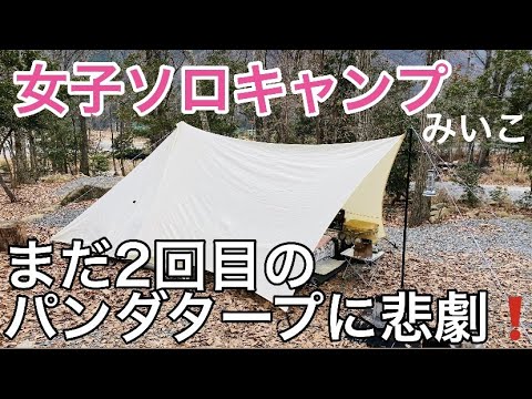 冬 ソロキャンプ】白パンダタープに鳥さんの洗礼♪ - YouTube