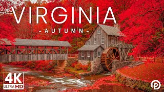 Western Virginia in Autumn 4K – Autumn Magic in the Blue Ridge Mountains