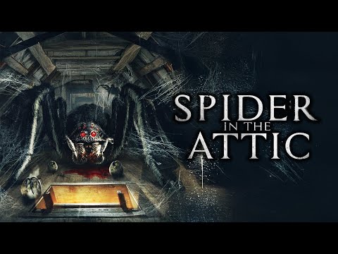 SPIDER IN THE ATTIC