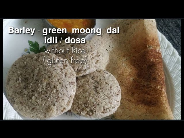 Barley moong dal idli/dosa recipe -no rice/ gluten free/weight loss breakfast/dinner recipe | Healthy and Tasty channel