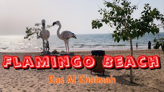 FLAMINGO BEACH in Ras Al Khaimah || Summer Getaway in UAE