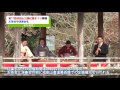 第17回成田山公園紅葉まつり