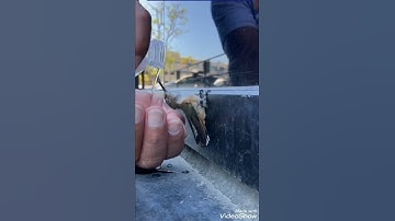 القارئ مشاري البغلي ❤