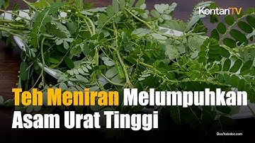 Cara Konsumsi Meniran untuk Menurunkan Asam Urat Tinggi