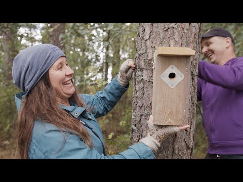 Video: Ihmisen ja luonnon välinen suhde. Ihminen ja luonto: vuorovaikutus