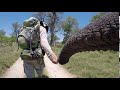 Walking with Elephants! Doug hand in trunk with Jabu the elephant, Botswana! Living With Elephants!!