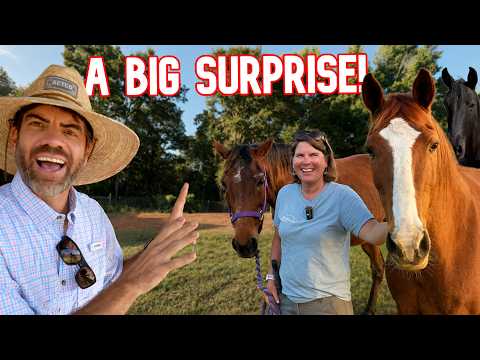 The Horses Have No Idea What’s Coming!