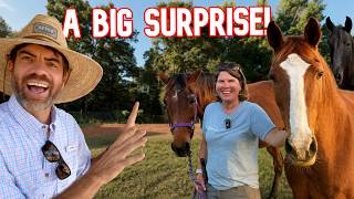 The Horses Have No Idea What’s Coming!
