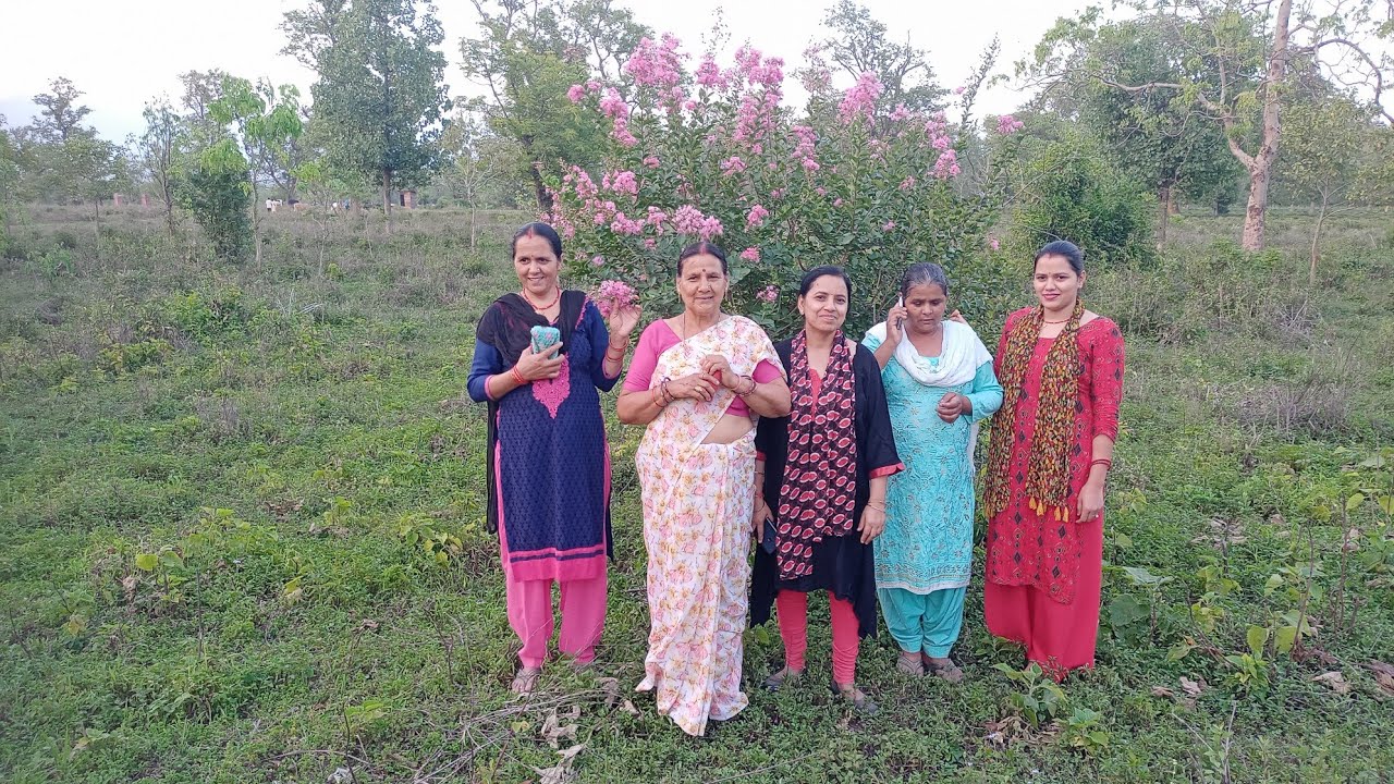 Tea garden dehradun देहरादून चाय बागान rekhasvlog viralvideo 