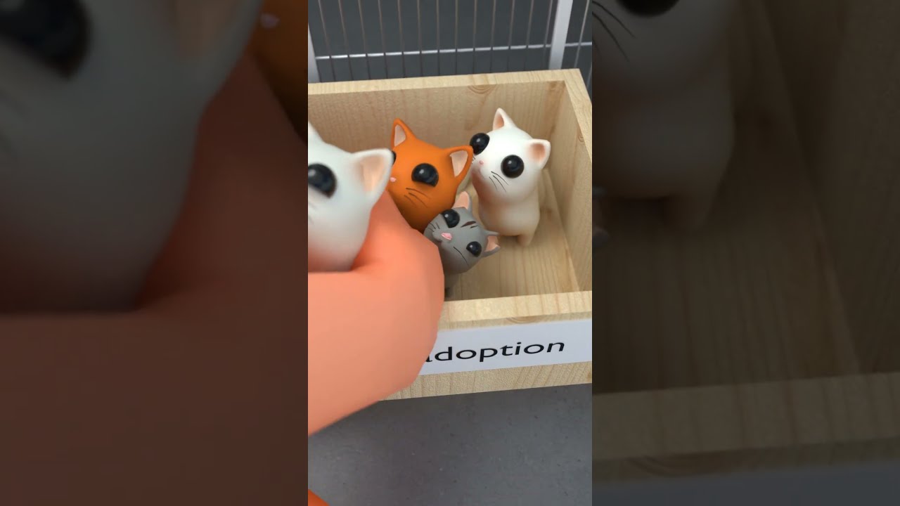 Kitty Adoption Shelter Animation Cats