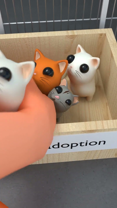 Kitty adoption shelter😿🐈 #animation  #adoption #cats