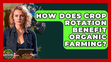 How Does Crop Rotation Benefit Organic Farming? - The World of Agriculture