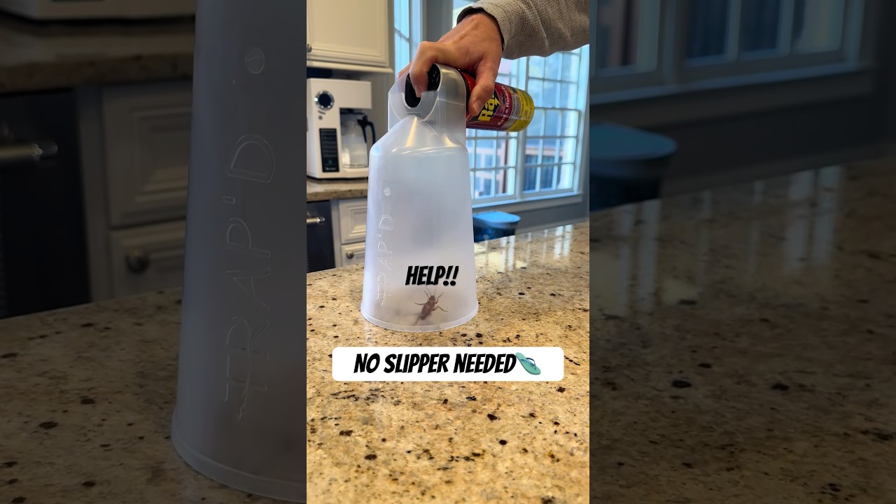 The Bug Spray Chamber - YouTube