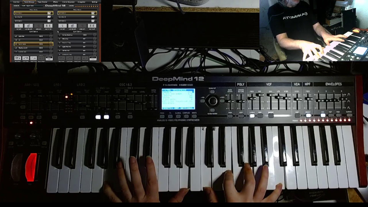 Wish I had a Moog Muse but this is Sweet. DM12 Synthesizer fun