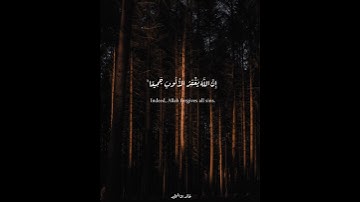 تلاوة من ﴿ سورة الزمر ﴾ ❤️ للقارئ محمد هشام حسن 🤍🎧
