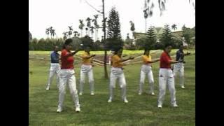 SENAM TERA PERNAPASAN POKOK B RELASE 2009.avi