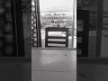 #ingcotools #shortvideo