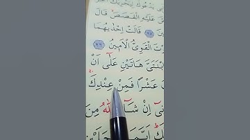 سورة القصص الأية 27 إلى 28 القارئ سعد الغامدي