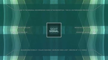 sightsignal - Business Reflections Loop 2