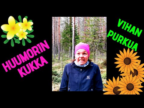 Video: Vältä Sanomasta Näitä Matkustajille, Tai Joudut Kohtaamaan Heidän Vihansa