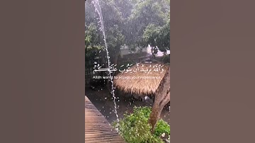 تلاوة رائعة | والله يريد أن يتوب عليكم 🌷#تلاوة_خاشعة #ماهر_المعيقلي #قرآن #اكسبلور #راحة_نفسية