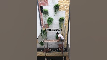 Tiểu cảnh tranh đá giếng trời và hồ cá koi trong nhà.