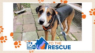 Carter | 16 To The Rescue