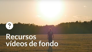 Recursos Vídeos De Fondo Hombre De Espaldas Caminando