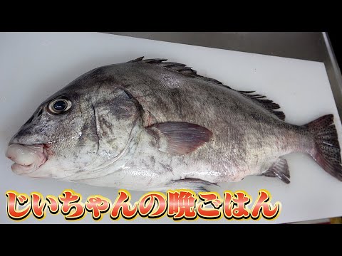 へんな魚おじさんのひとり言 - YouTube