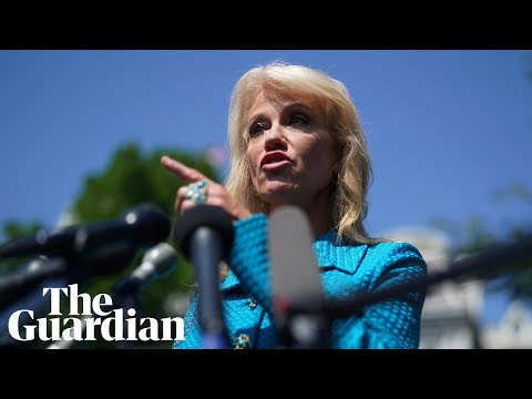 Trump aide Kellyanne Conway asks reporter: 'What's your ethnicity?'