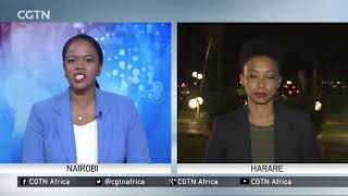 Zimbabwe Decides: Vote counting underway