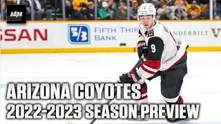 Arizona Coyotes 2022-2023 NHL Season Preview