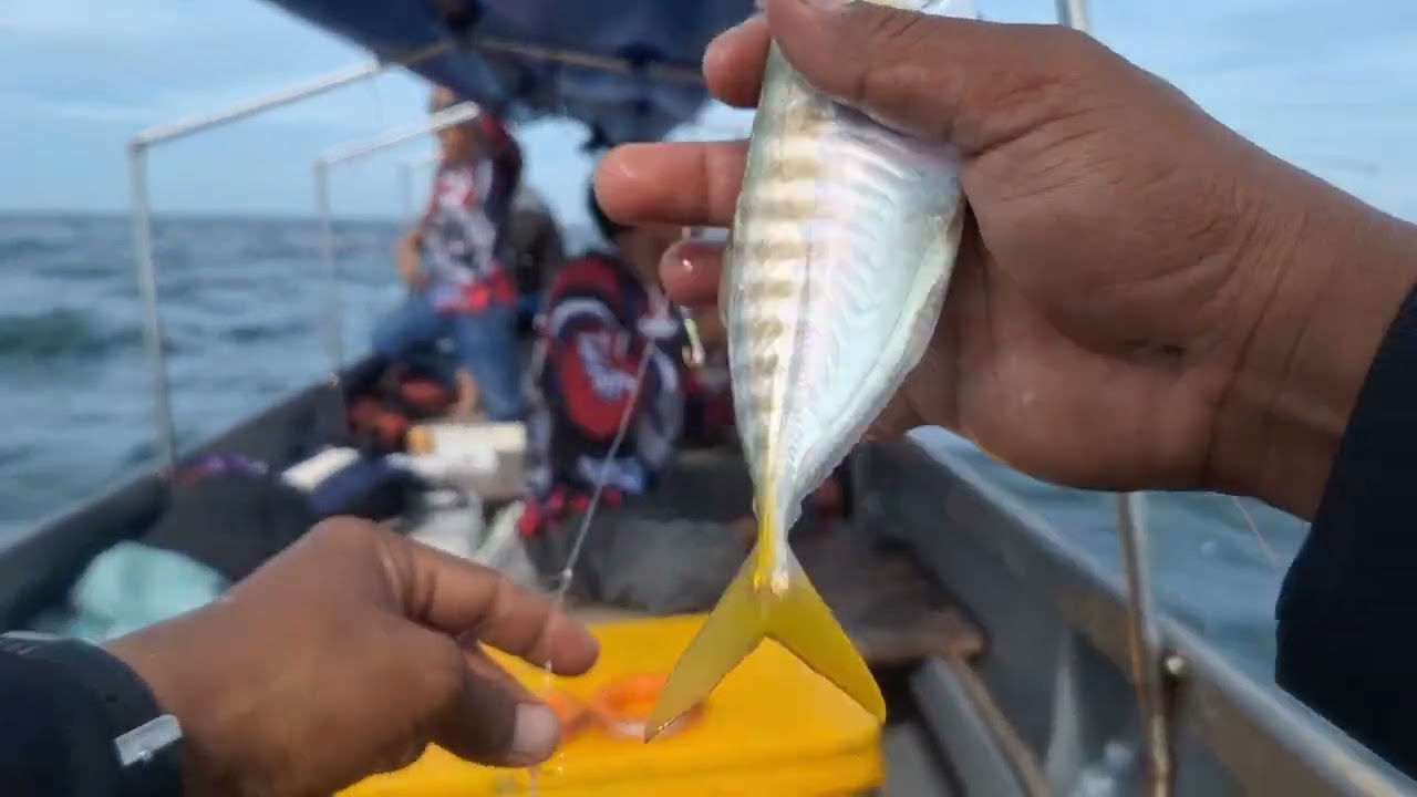 Mancing ikan selar di perairan pulau buaya bersama tekong bg jamil pulau abang batam. 