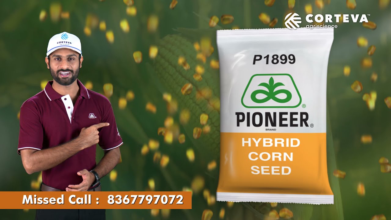 Pioneer P1899  TVC