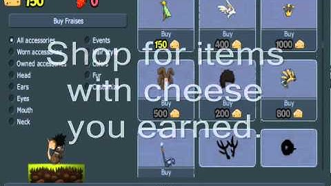 What is Transformice?