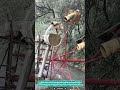 Water Wheel Tool for Continuous Flow Irrigation System