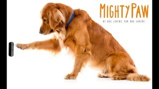 Mighty Paw Smart Bell- How to Re-sync