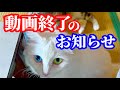 【もう無理】ヤル気なくなりました