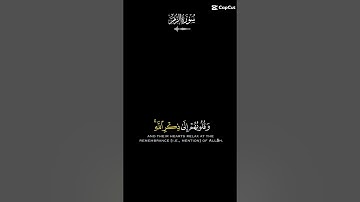القرآن الكريم #viral #اكسبلور #foryou #لايك #explore #duet #دويتو #motivation #ترند #تيك_توك