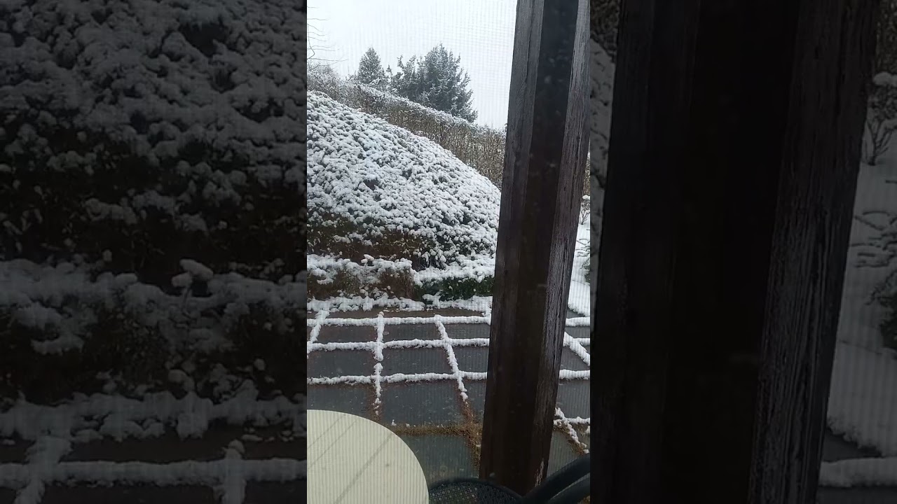 🤩 Love the snow 😲   