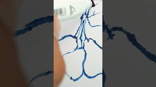 Drawing with markers | Rose Apple part 1. #shorts #simpledrawing #markersdrawing
