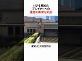 バグを極めたプレイヤーへの運営の異常な対応 #gta #gta5