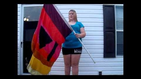 Anatomy of a Flag