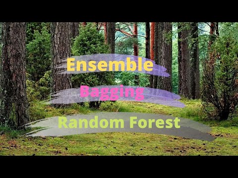 Machine Learning | Ensemble, Bagging, & Random Forest