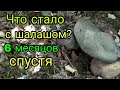 Что стало с шалашом спустя 6 месяцев?Печка держится &quot;молодцом&quot;!