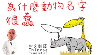 沙子翻譯: GradeAUnderA - 為什麼動物名字很蠢