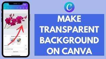 How to Make Transparent Background in Canva (2024)
