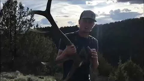 LIMITED ENTRY UTAH MOUNTAIN LION HUNT!!! (AWESOME KILLSHOT)