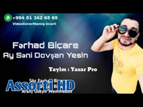 Ferhad Bicare - Ay Seni Dovsan Yesin (Official Audio)